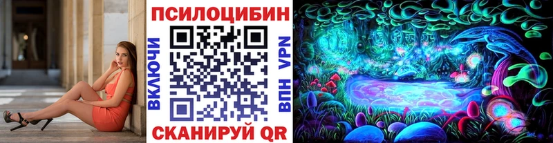 Псилоцибиновые грибы GOLDEN TEACHER Чебоксары
